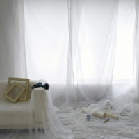 Dust Sheets